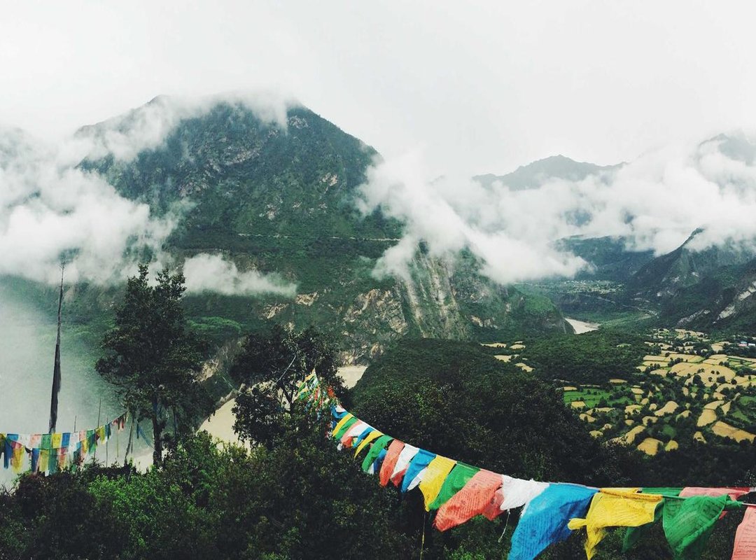 Analyzing the Character: More Than Just a Pretty Face