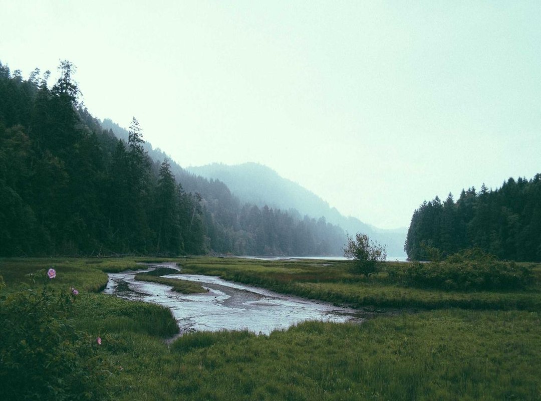 Step 2: The Sewing Process: Assembling Your Jacket