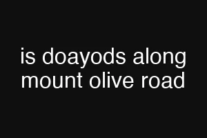 is doayods along mount olive road